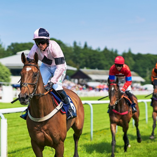 Horse Racing at Perth Racecourse