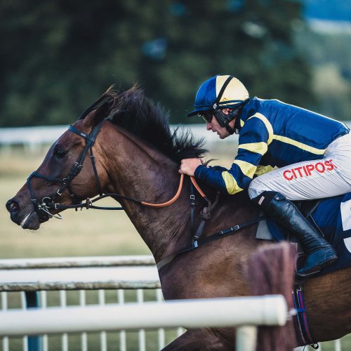 Stone of Destiny Raceday