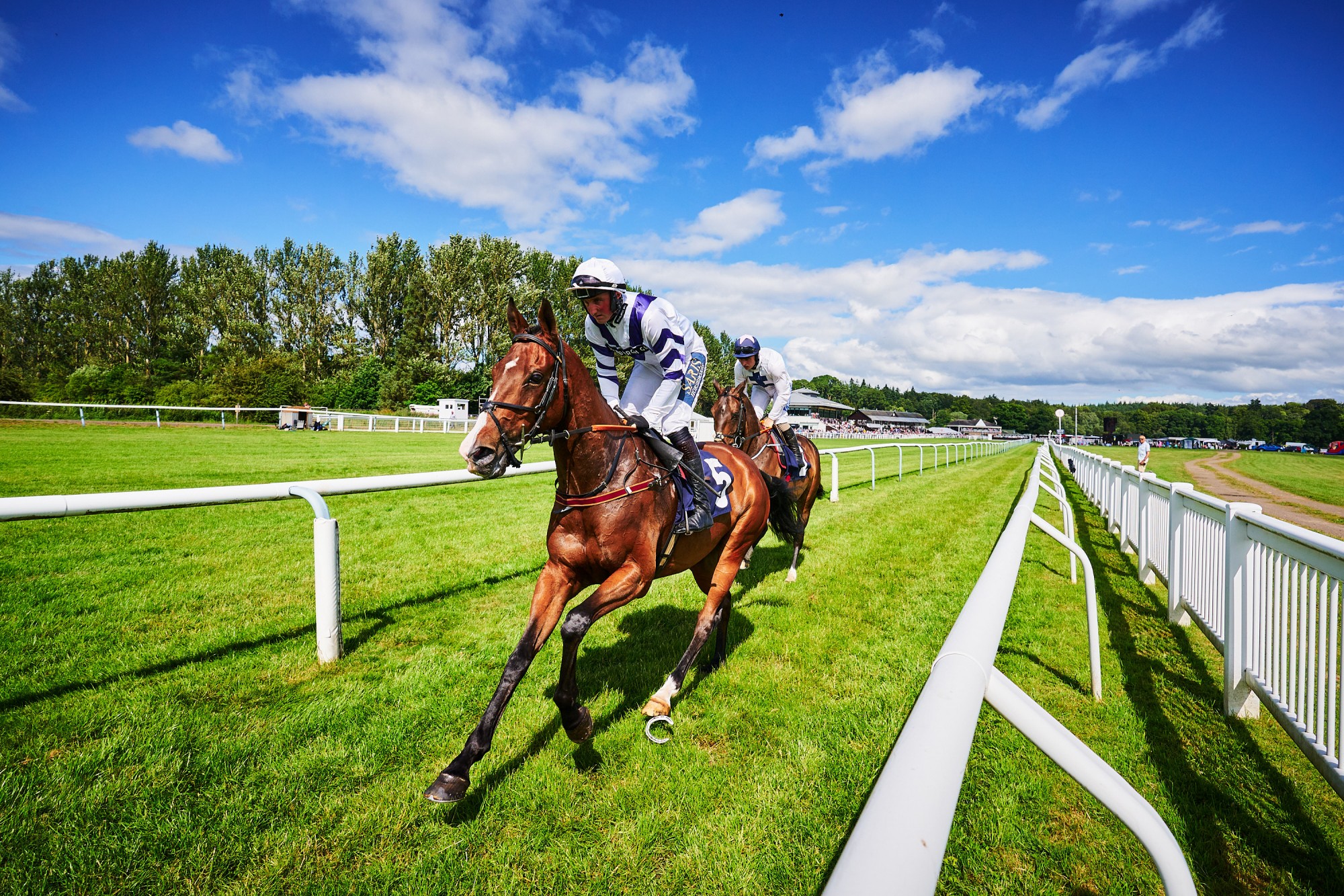 Horses at Pride Race Day 2023