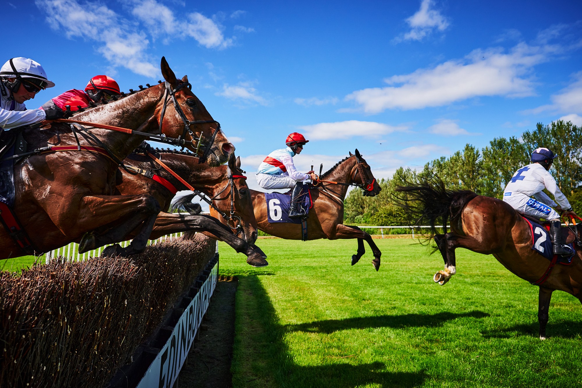Perth Festival at Perth Racecourse