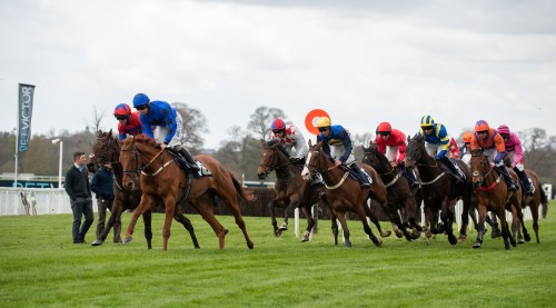 Beta Gold Cup 2023 event at Perth Racecourse