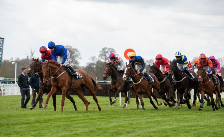 Beta Gold Cup 2023 event at Perth Racecourse