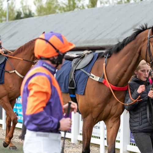 Information for Owners and Trainers at Perth Racecourse