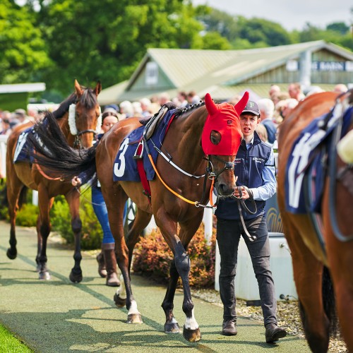 Bet 365 Gold Cup 2023