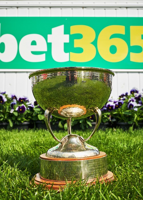 Bet 365 Gold Cup 2023