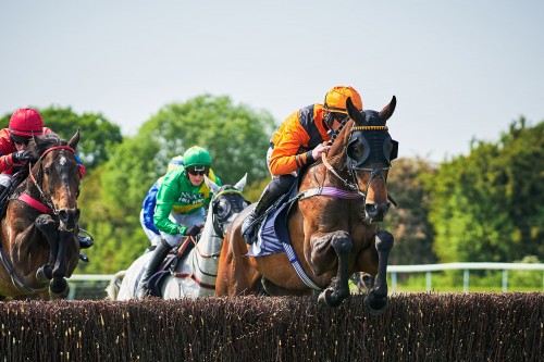 Horse shots event at Perth Racecourse