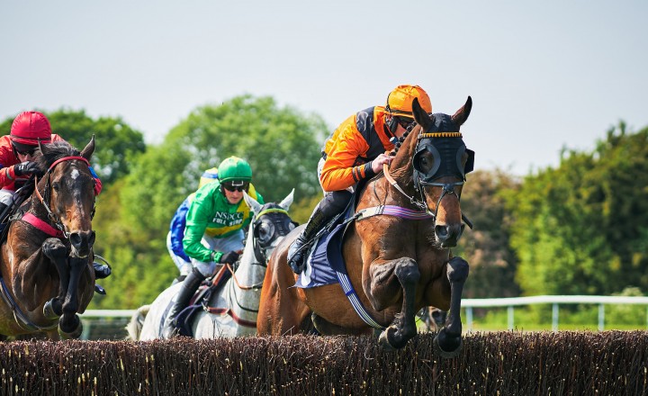 Horse shots event at Perth Racecourse