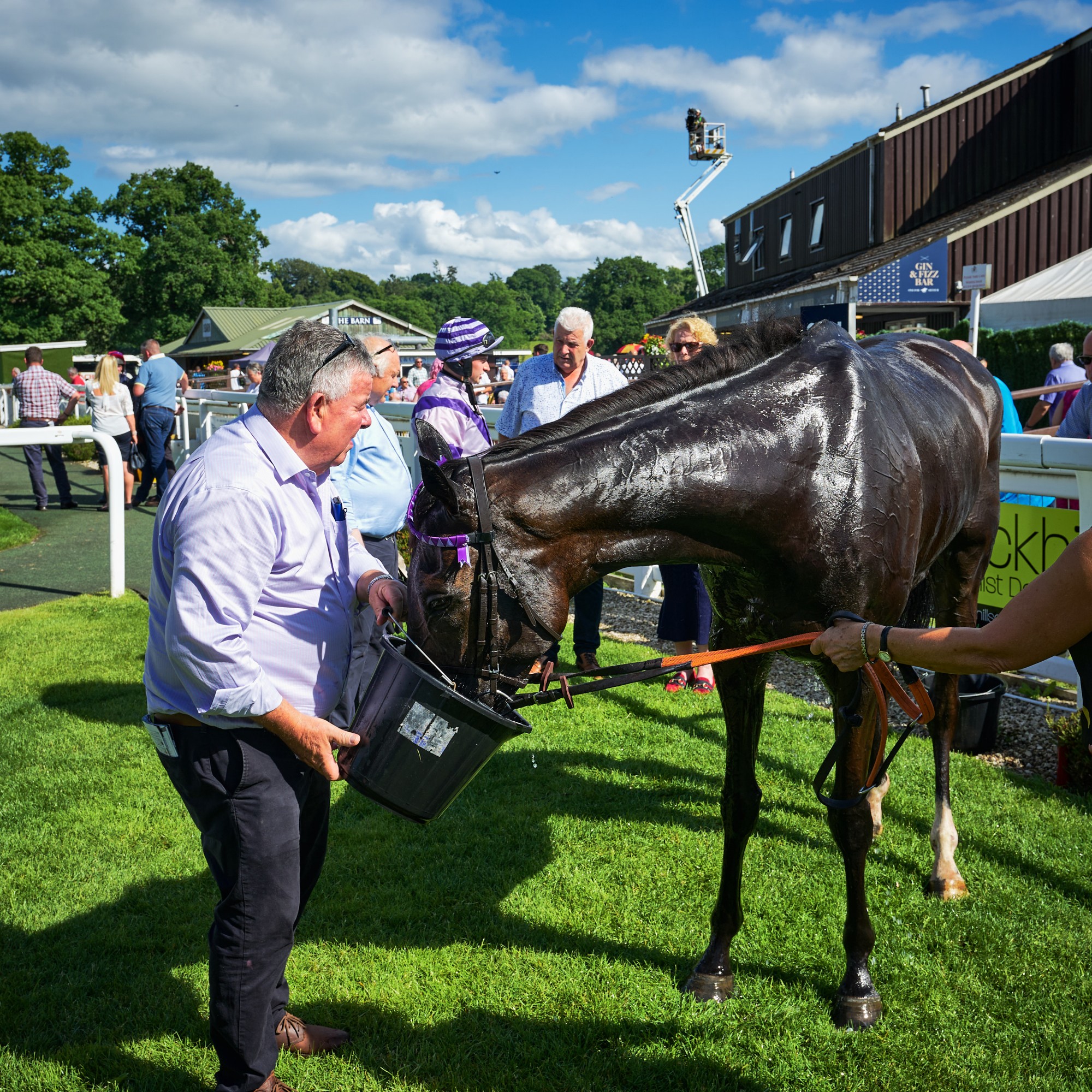 Owners and Trainers