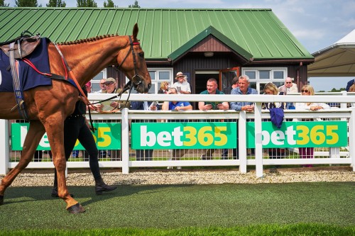 bet365 Gold Cup event at Perth Racecourse