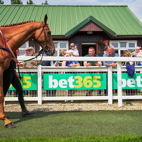 bet365 Gold Cup Day