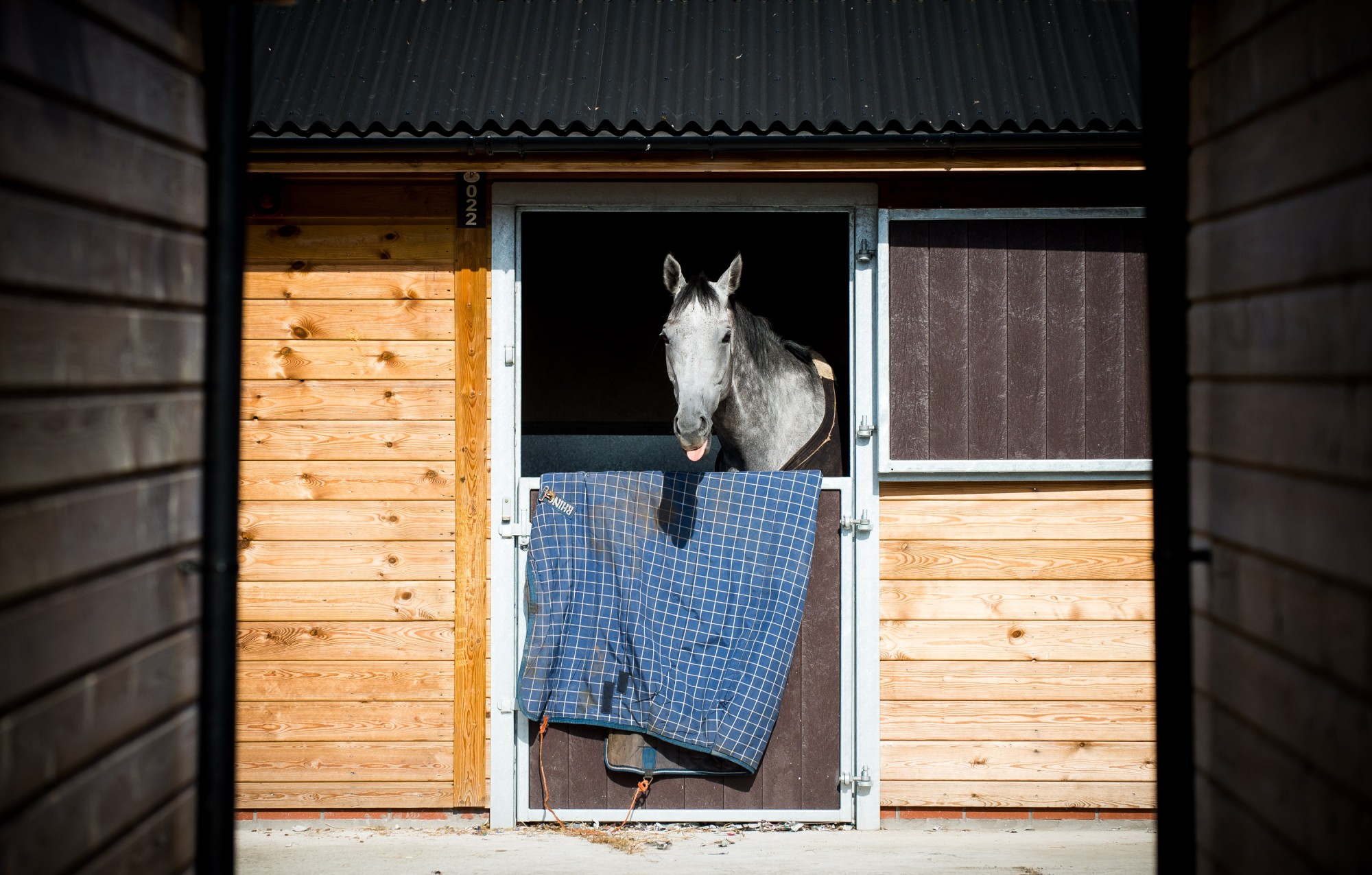 Stable Yard