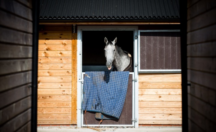 Stable Yard