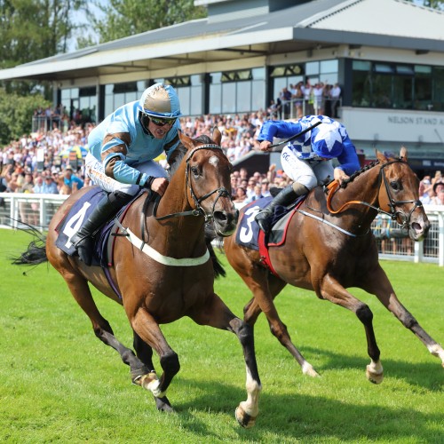 Brian Hughes Returns as The Real Whacker Targets Feature Race Glory