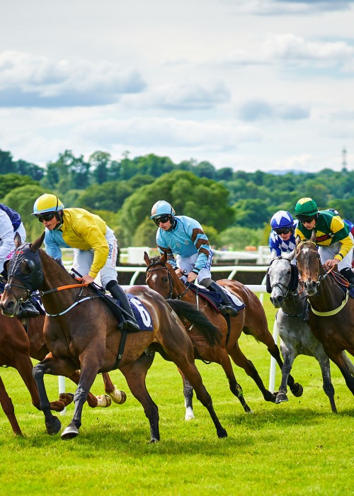 Gold Cup Racing 2025