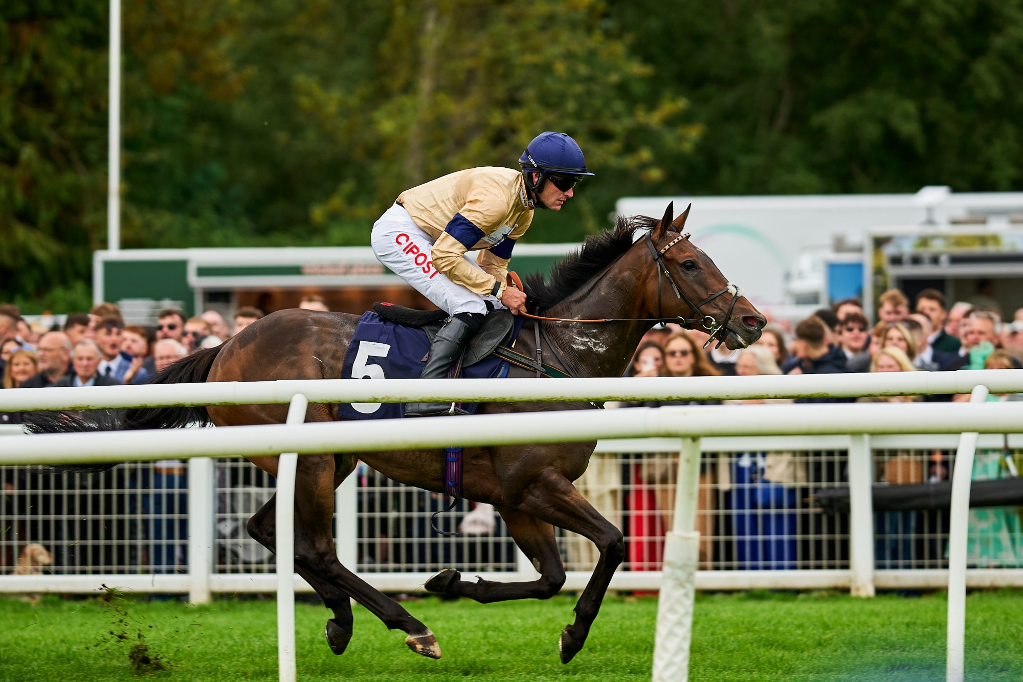 Perth Races Uk Racing News and Horse Fixture Reviews From Perth Racecourse Scotland