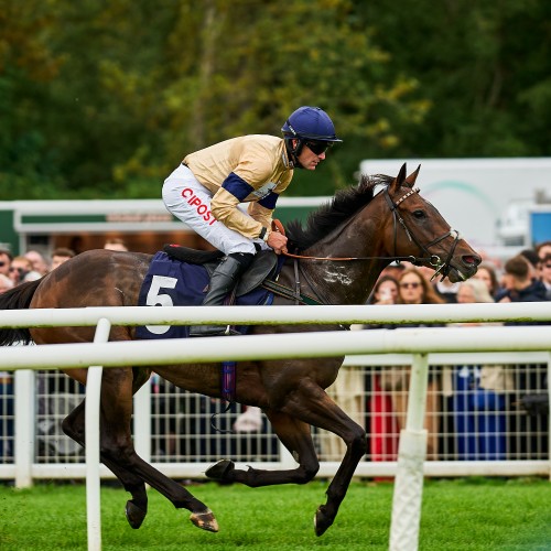 Scottish Racing in August