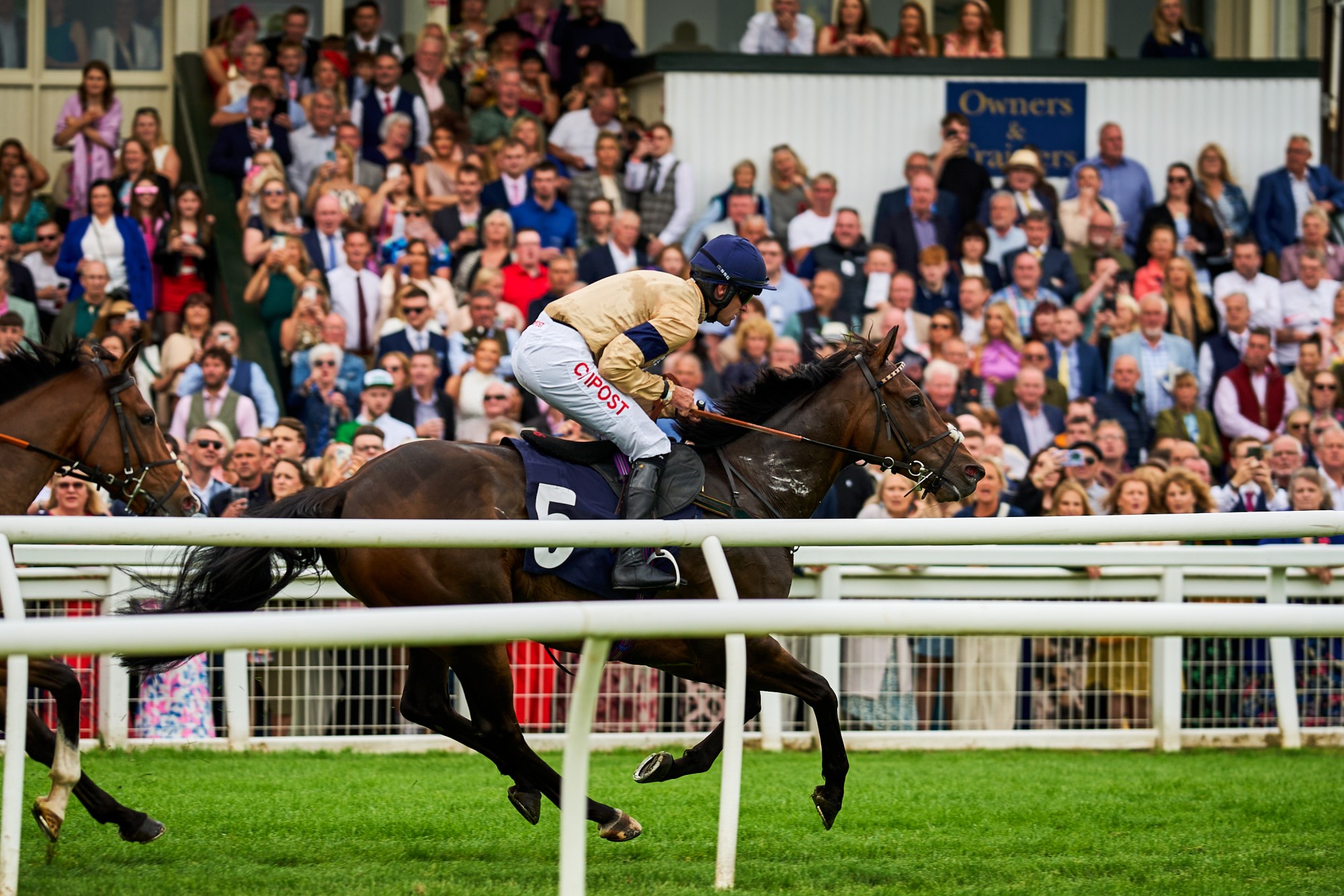 Perth Races Uk Scottish Racing in August