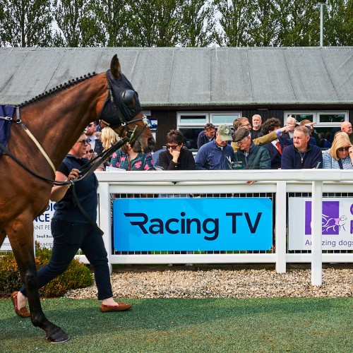 Racing TV Raceday