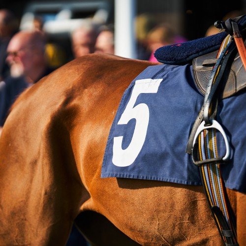 Racing TV Raceday