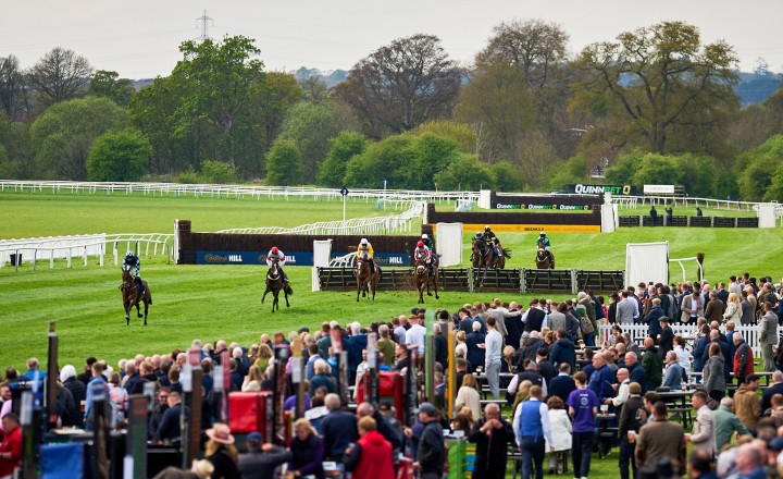 Perth Races Uk Racing News and Horse Fixture Reviews From Perth Racecourse Scotland