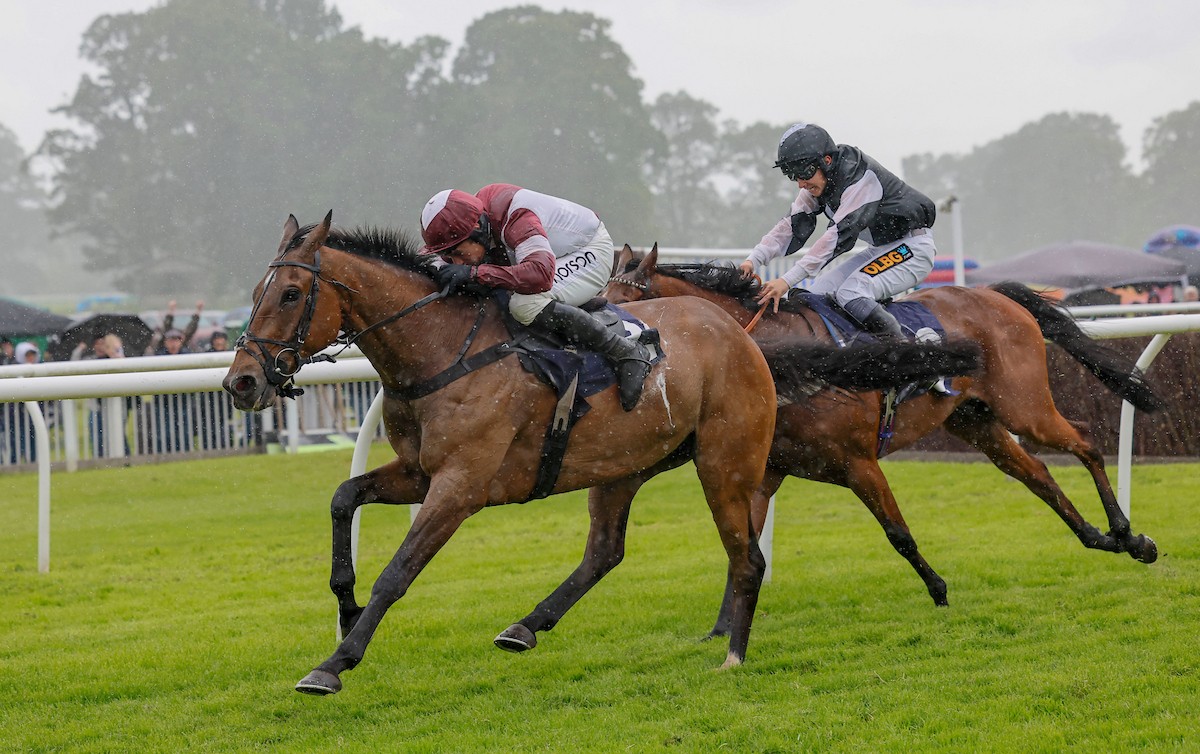 Perth Races Uk Riskintheground Claims Prestigious Perth Gold Cup