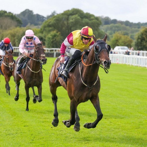 Sir Carnegie Powers to Feature-Race Glory